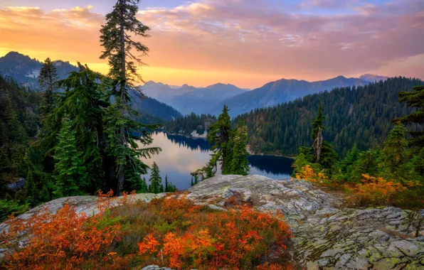 Картинка осень, лес, закат, горы, озеро, ели, Mount Rainier National Park, Национальный парк Маунт-Рейнир