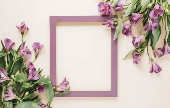 Картинка цветы, рамка, розовый фон, pink, flowers, frame