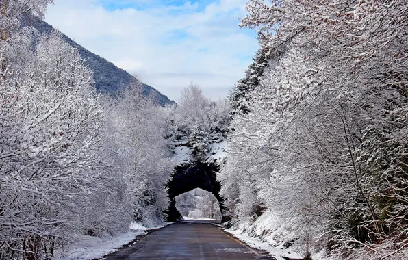 Картинка дорога, снег, деревья, пейзаж