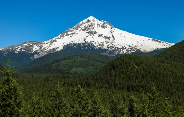 Лес, гора, USA, США, State of Oregon, Штат Орегон