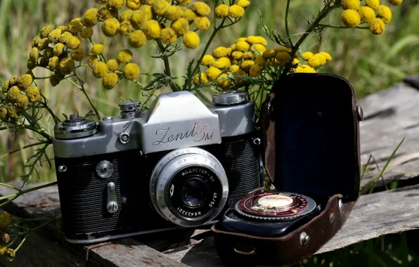 Картинка цветы, фон, фотоаппарат, зеркальный, чехол, советский, мимоза, однообъективный