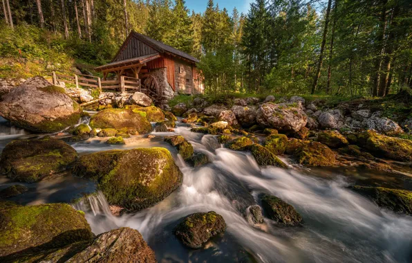 Лес, свет, горы, камни, скалы, водопад, мох, ели