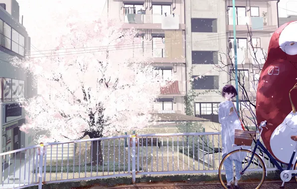 Картинка девушка, мост, велосипед, город, дерево, дома, аниме, сакура