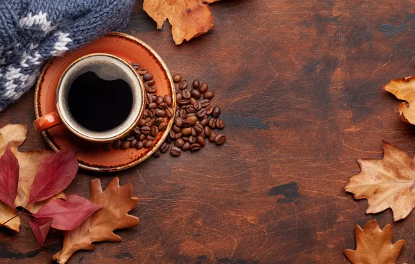 Осень, листья, зерна, wood, autumn, leaves, cup, beans