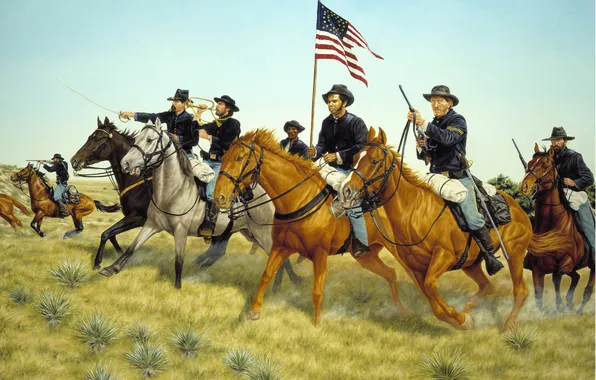 Картинка трава, оружие, флаг, лошади, солдаты, америка
