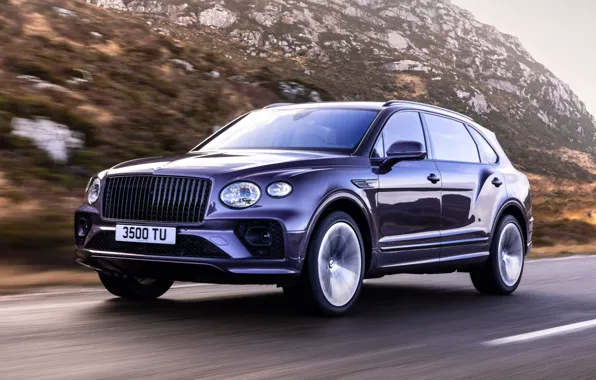 Деревья, Bentley, дорога скорость, Bentayga EWB