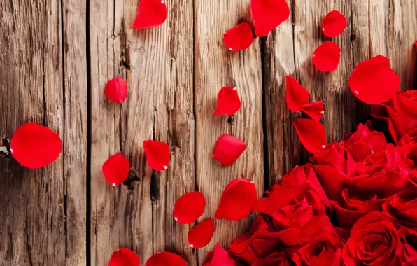 Картинка розы, лепестки, красные, red, rose, бутоны, wood, flowers