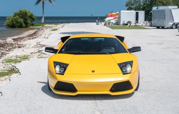 Картинка Lamborghini, yellow, Lamborghini Murcielago, Murcielago, lambo, front view