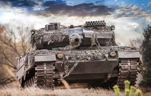Картинка лес, небо, дуло, танк, боевой, Leopard 2A6M