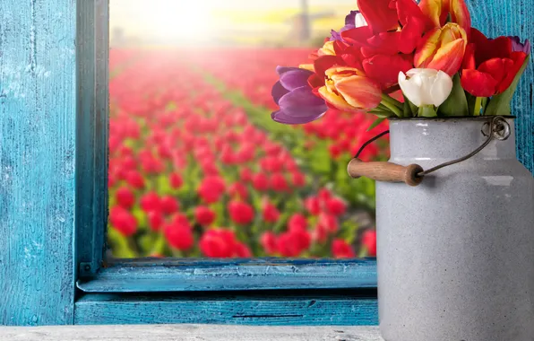 Картинка colorful, окно, тюльпаны, flowers, tulips, window, bouquet