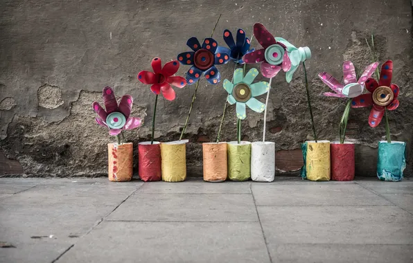Colours, street, Urban Flowers
