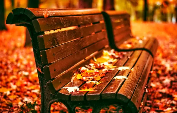 Листья, скамейка, парк, Осень