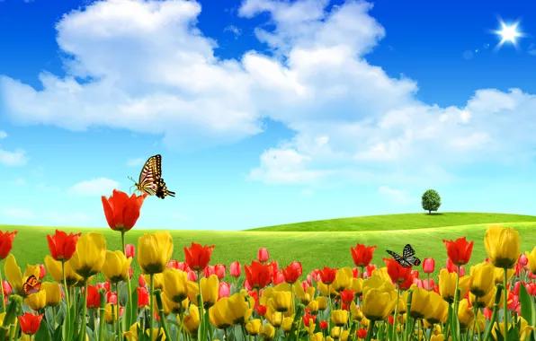 Картинка лето, небо, бабочки, цветы, природа, тюльпаны