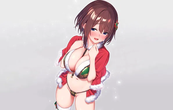 Girl, christmas, sexy, lingerie, pantsu, bra, cleavage, panties