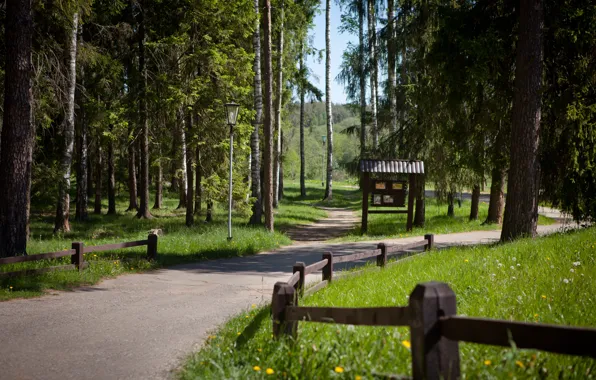 Природа, Дорога, Трава, Деревья, Лес, Nature, Grass, Road