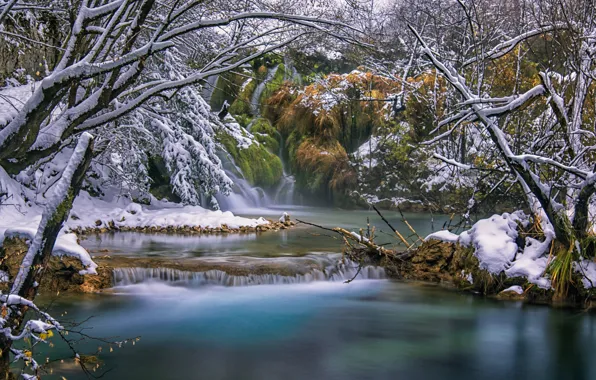 Картинка лес, снег, речка, Хорватия, Plitvice Lakes