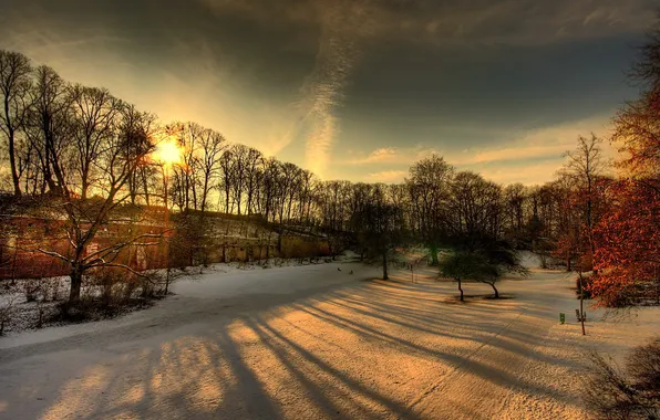 Картинка зима, солнце, лучи, снег, деревья, парк