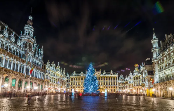 Картинка ночь, огни, елка, Рождество, Бельгия, Брюссель, Grand Place