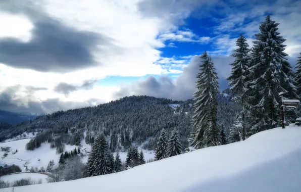 Зима, небо, снег, горы, Германия, ели, долина, Germany