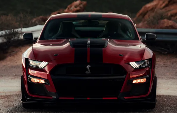 Картинка Mustang, Ford, Shelby, GT500, вид спереди, кровавый, 2019