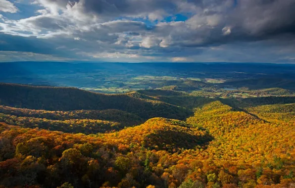 Осень, лес, облака, горы, панорама, США, Виргиния, Национальный парк