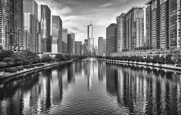 Картинка вода, город, река, здания, небоскребы, Чикаго, черно-белое, Иллиноис
