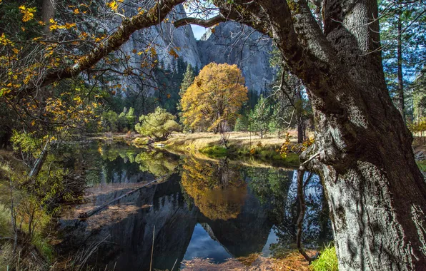 Картинка Fall, Yosemite, River, Trees, Reflection, Fall Colors