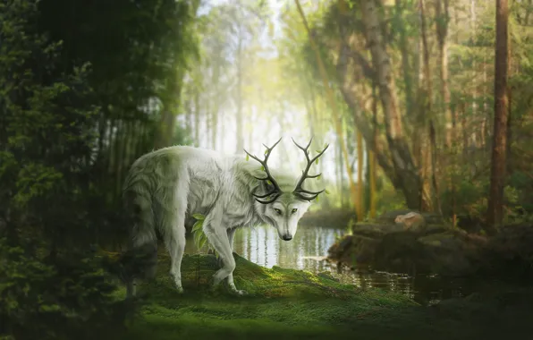 Картинка лес, природа, пруд, волк, фэнтези, рога, by Fiirewolf