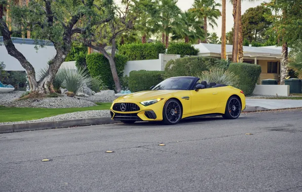 Картинка car, Mercedes-Benz, Mercedes, trees, palms, Mercedes-AMG, Mercedes-AMG SL 63