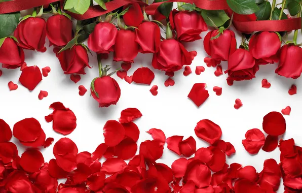 Розы, лепестки, сердечки, red, love, flowers, hearts, petals