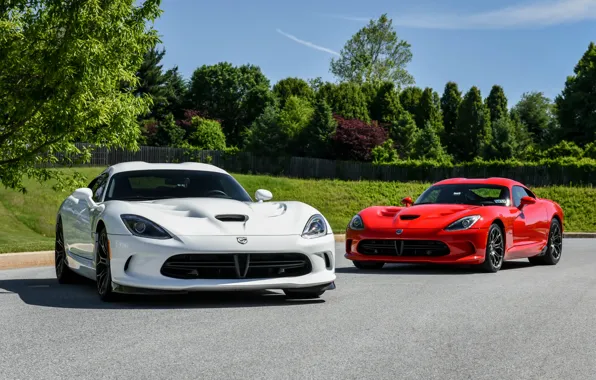 Картинка Dodge, red, white, Viper, &ampamp;, '2012