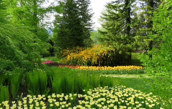 Картинка зелень, трава, деревья, цветы, парк, Словения, Mozirski gaj