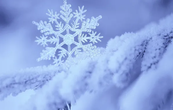 Картинка снег, белое, голубое, снежинка