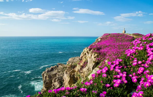 Картинка цветы, океан, скалы, побережье, залив, Испания, Spain, Бискайский залив