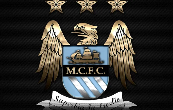 Wallpaper, sport, logo, football, Manchester City FC