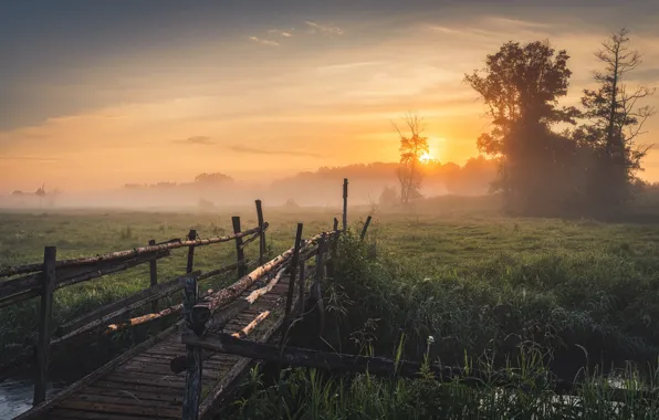 Лето, небо, солнце, закат, мост, природа, река, вечер