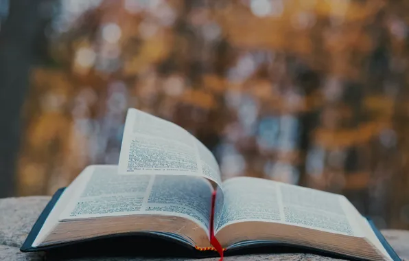 Christian, God, Bible, Jesus, Aaron Burden, Holy Bible