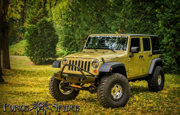 Wrangler, Jeep, Offroad