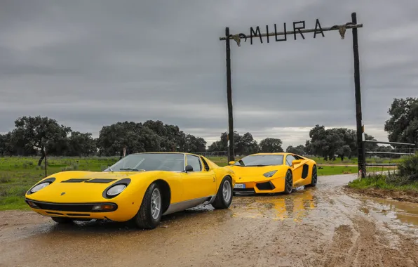 Цвет, Авто, Lamborghini, Машина, Классика, Грязь, Желтые, 1971