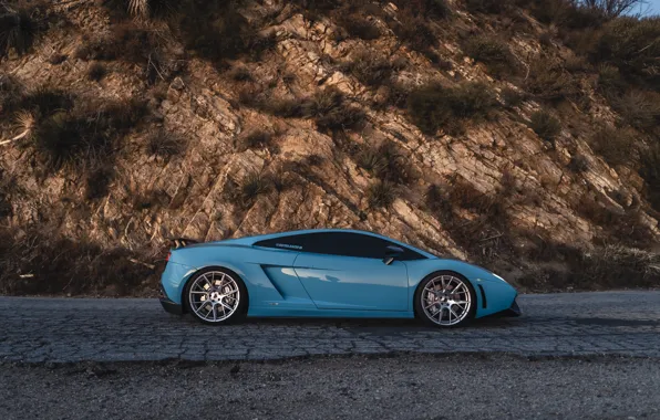 Lamborghini, Gallardo, side view, LP550-2 MLE
