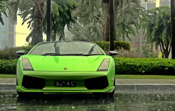 Картинка пальмы, дождь, обои, Lamborghini, суперкар, Gallardo, wallpapers