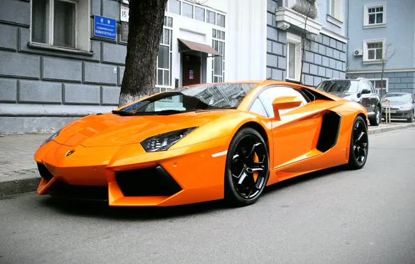 Оранжевый, Lamborghini, суперкар, ламборджини, Aventador, авентадор, LP 700-4