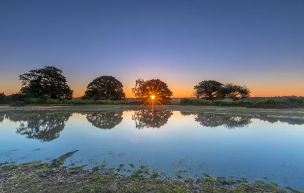 Картинка солнце, лучи, деревья, закат, отражение, берег, водоем