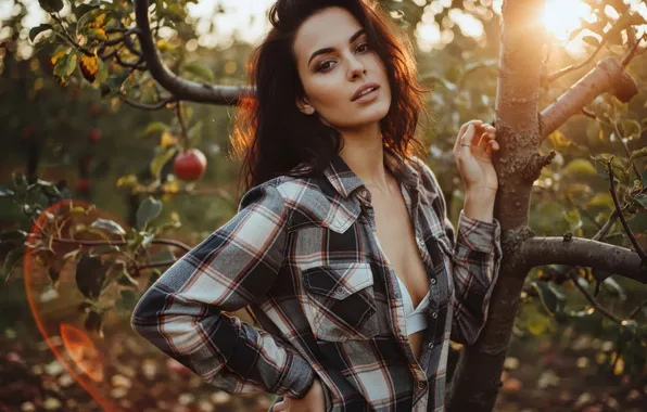 Картинка грудь, лето, взгляд, листья, девушка, лучи, свет, ветки