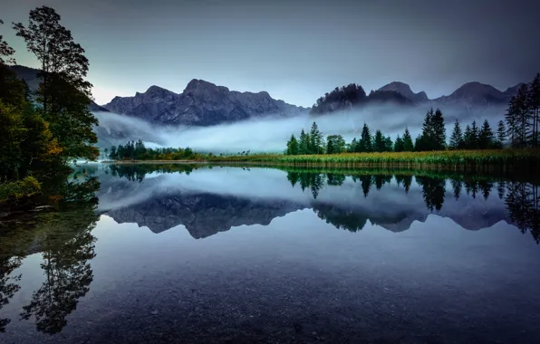 Картинка деревья, горы, туман, озеро, отражение, утро, Австрия, Альпы
