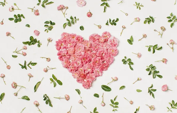 Любовь, цветы, сердце, лепестки, love, heart, pink, flowers