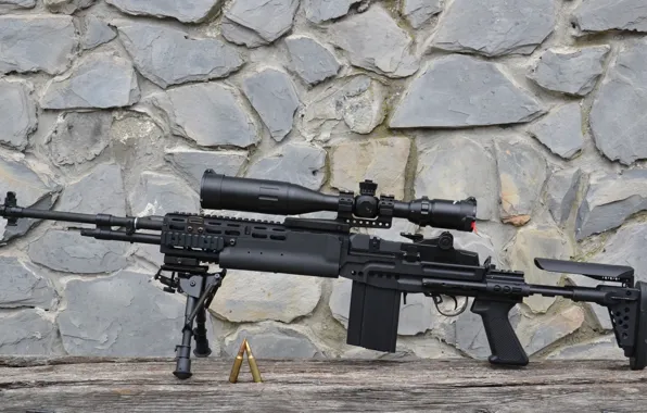 Military, rifle, ammunition, telescopic sight, high reach