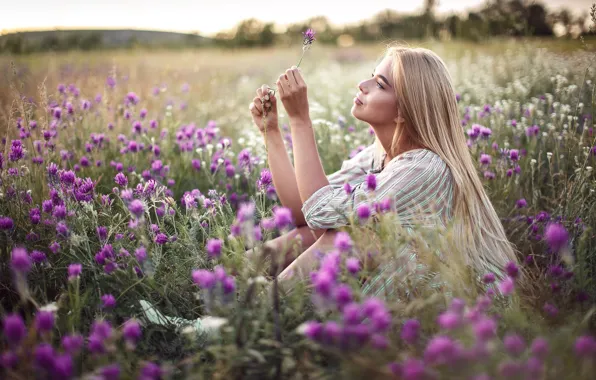 Картинка поле, лето, девушка, цветы, природа, волосы, Сергей Сорокин, Люба Иванова