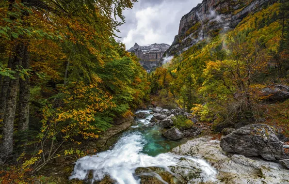 Осень, лес, скалы, берег, листва, водопад, поток, краски осени