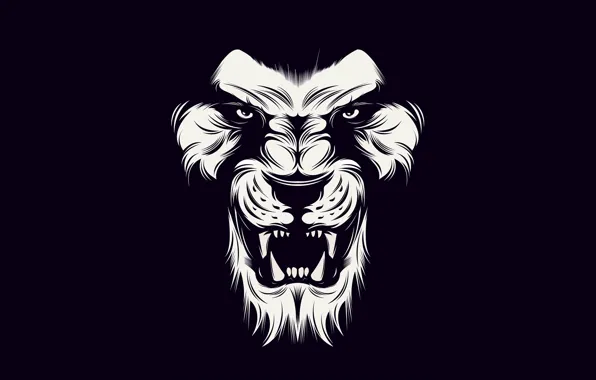 Картинка black, lion, White
